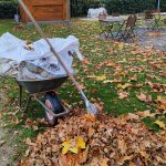 Gartenarbeit im Herbst